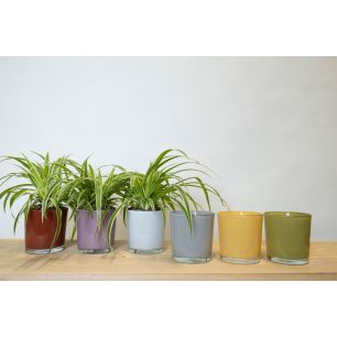 Display Conan Cache-Pot couleur ant.rose/vanille/corail/gr/gris/blanc h13 d13 