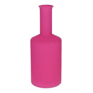 Vaas Caro Lines Neck Matt Finish fuchsia