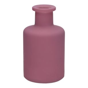 Fles Caro9 Matt Finish Aubergine