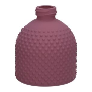 Fles Caro14 Matt Finish Aubergine