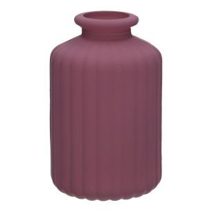 Fles Caro Lines Matt Finish Aubergine Small