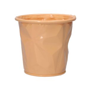 Pot Zinna Peach Extra Small