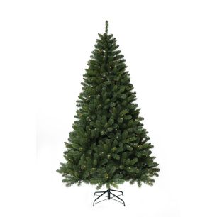 Christmas Tree Canadian Pine2+ Green Extra Large
