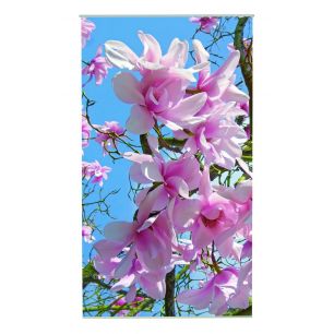 Magnolia Outdoor TekstilPoster Fotoausdruck 95x170cm 