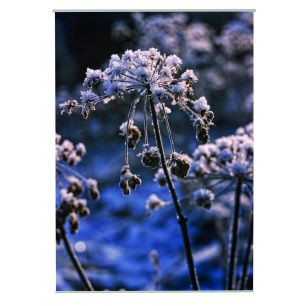 Snow Outdoor TekstilPoster Fotoausdruck 95x130cm 
