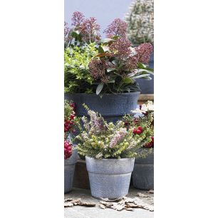 Michelle Outdoor Poster Xxl Fotoausdruck 140x340cm 