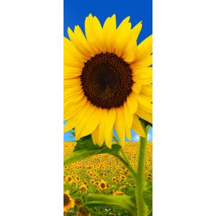 Banner Sunfield 75 cm x 180 cm