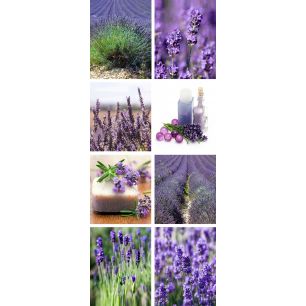 Banner Anika 75 cm x 180 cm