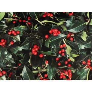Deco Holly 150 cm x 2,5 mtr