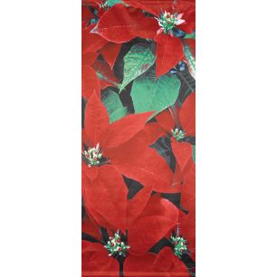 Banner Osna Banner 75x180 cm