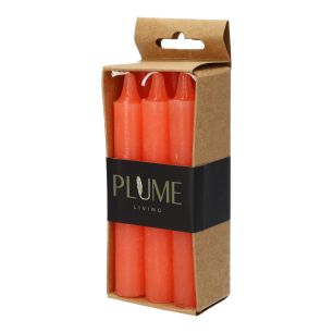 Kaars Set/6 Dinner Lucian  Zalm