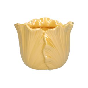 Pot Blush  Jaune Medium