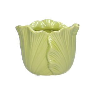 Pot Blush  Vert Medium