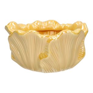 Jardinière Blush  Jaune