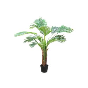 Plant Areca Groen Small