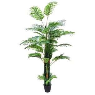 Plant Areca1 Groen Extra Large