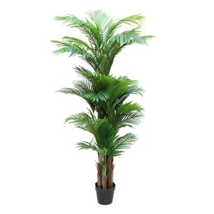 Plant Areca Groen Extra Large