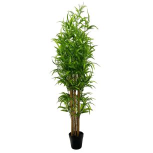 Plant Bamboo Groen Small