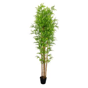 Plant Bamboo Groen Large