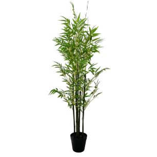 Plant Bamboo1 Groen Extra Small