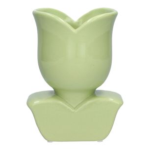 Vaas Carlo Groen Small