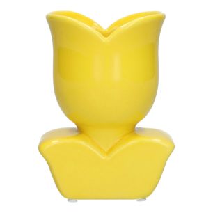 Vaas Carlo Geel Small