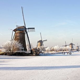 Dokkum Outdoor Bild Fotoausdruck 50x50cm 