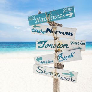 Hapiness Outdoor Bild Fotoausdruck 75x75x2,5cm 