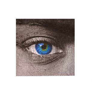 zilver Eye Indoor Painting Photoprint 50x50cm