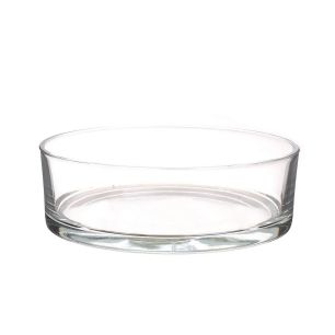 Bowl Denta Clear Large