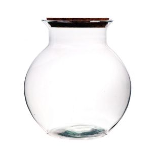 Terrarium Bose6  Effacer Medium