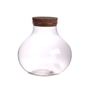Terrarium Wendel d36xh26 clear + cork