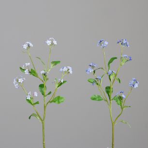 Forget-me-not 49 cm assorted: blue + light blue