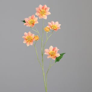 Rudbeckia twig and two buds 94 cm peach