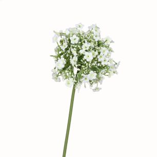 Allium with flowerhead 46cm cream