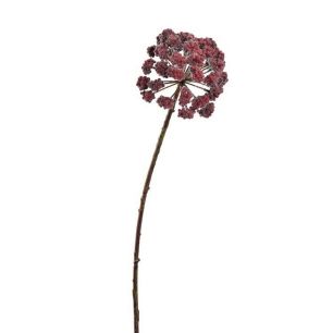 Calicapra ball branch 60cm red