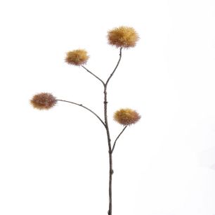 Chensnut sprayx4 80cm brown