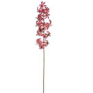 Martagon lily 105cm rose beauty