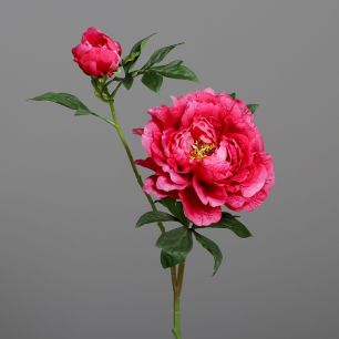 Peony w/bud 63cm fuchsia
