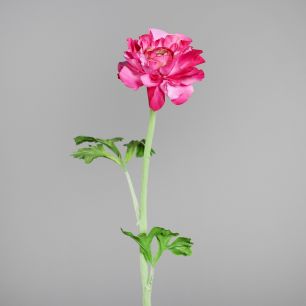 Ranuculus 45cm pink
