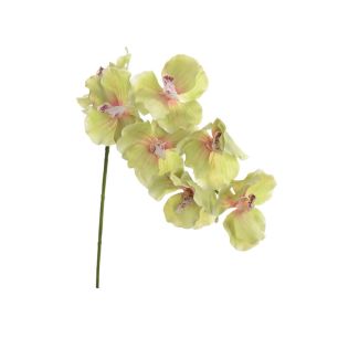 Vanda Orchid 74cm green