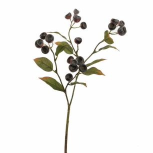 Medlar 66cm beauty