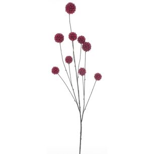 Bloem Berry Balls Rood