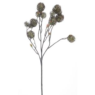 Pom thistle spray Bella brown 74cm