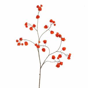 HOUZUKI 125CM ORANGE