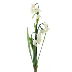 Snowdrop Claire spray cream 43cm