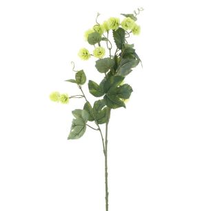 Hop flower spray Leffe green 81cm