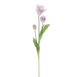 PSO Parrot tulip spray Sally lavender 71cm