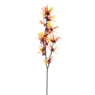 Hamamelis spray orange 76cm