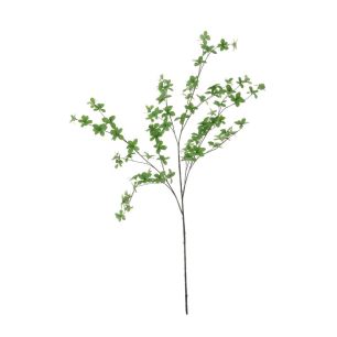Bucida branche green 134cm